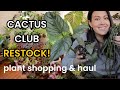 Cactus club plant restock  plant shopping  plant haul   houseplants  indoor plants