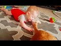 Cutest Funny Cats And Babies Compilation