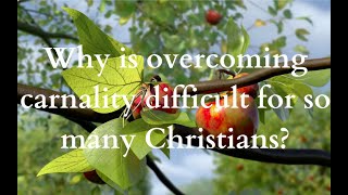 Christian, do you know why it is so hard to overcome carnality?