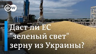 Эмбарго отменено: как украинское зерно стало яблоком раздора между партнерами в ЕС