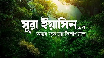সূরা ইয়াসিন ( سورة يس ) - অত্যন্ত দরদী তেলাওয়াত। By Zain Abu Kautsar