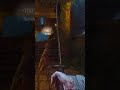 HOW TO GET TAKEO'S KATANA IN REVELATIONS!