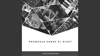 Promesas Sobre el Bidet