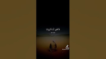 القارئ ماهر المعيقلي ماتيسر من القرآن آيات القرآن الكريم #قران_كريم #اذكار #تذكار #لايك #استغفرالله