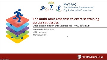 dkNET Webinar "The Multi-Omic Response to Exercise Training Across Rat Tissues: MoTrPAC...03/08/2024