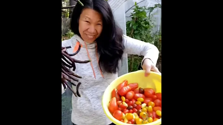 Growing veggies in a polytunnel greenhouse