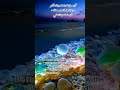 عبارات لن يفهمها لا اصحاب العقول الراقيه أقوال العظماء عبارات لن يفهمها لا اصحاب العقول الراقيه أقوال العظماء