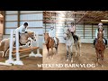 A WEEKEND IN THE LIFE OF A HORSE TRAINER (NO SLEEP)