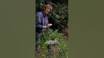 Weeds Indicate Soil Minerals