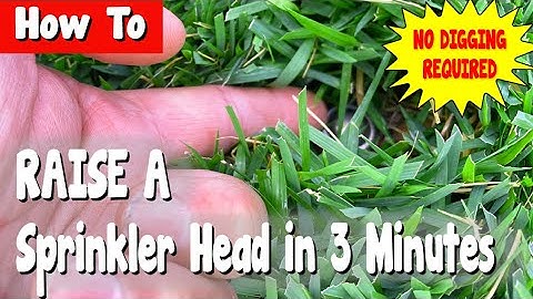 How To Easily Raise a Sprinkler Heads in 3 Minutes Without Digging