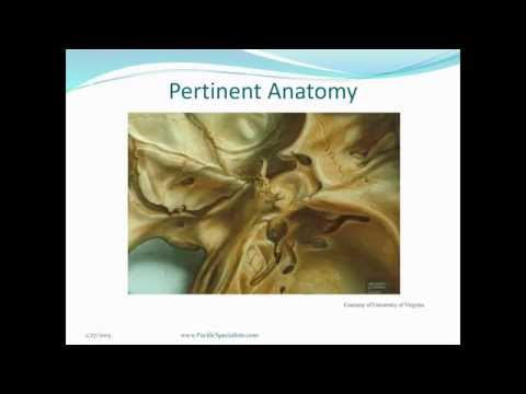Video for my Systemic Disease class aboutVideo for my Systemic Disease class aboutPituitary Adenomas. 
