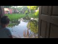 Gargaú veja vídeo de moradores: água invade casas