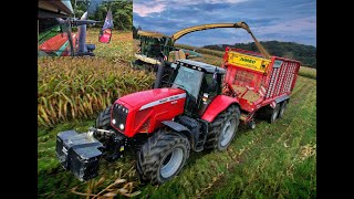 SOUND PUR • Krone Big X & MF 8480 im Mais • Maishäckseln 2023 • 3x Massey Ferguson • Traktorsound