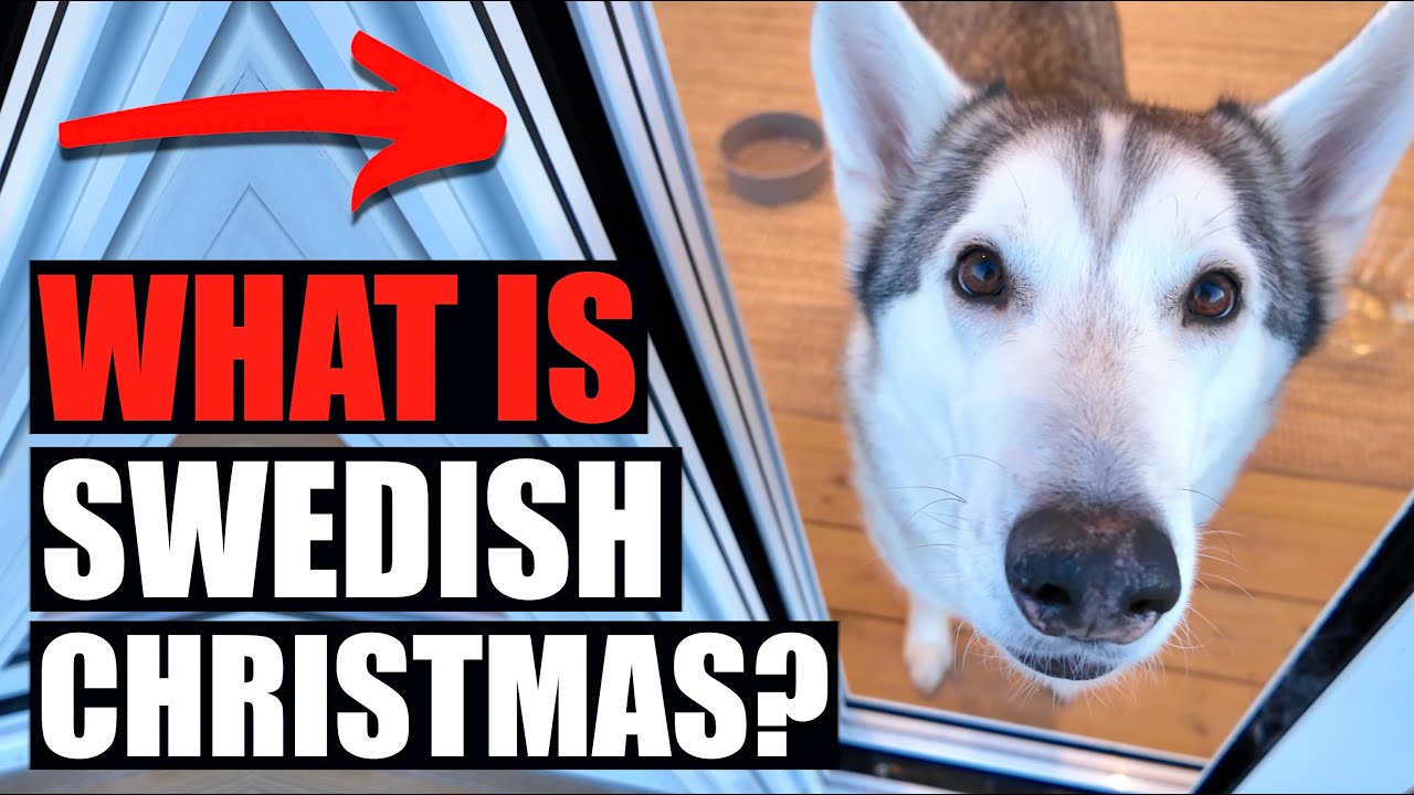 Experiencing Swedish Christmas For The First Time...