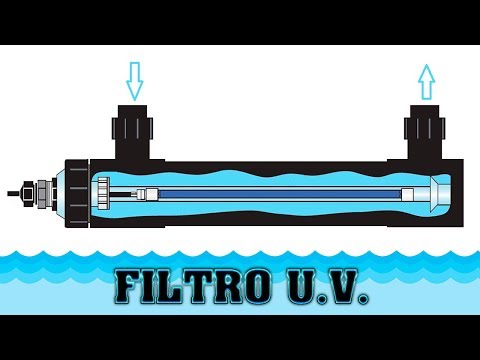 Vídeo: Eu Preciso De Um Filtro No Aquário