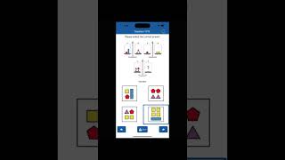 WISC-V Test Practice Mobile Application screenshot 3