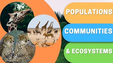 What are Populations, Communities & Ecosystems?