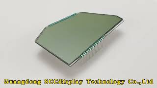 Custom 7-segment LCD - SJXDGW017 - Custom Segment Layout