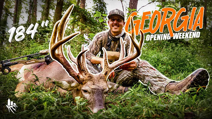 MASSIVE 16 Point Buck - Georgia Whitetail Opening Weekend!