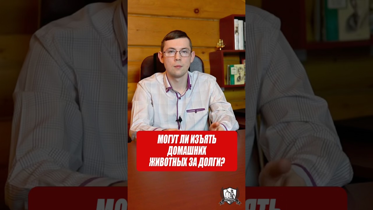 Могут ли изъять домашних животных за долги? #законы #домашниеживотные #долги