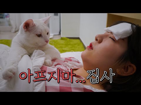 제가 아플 때 고양이가 병간호를 해줘요 | 고양이산책