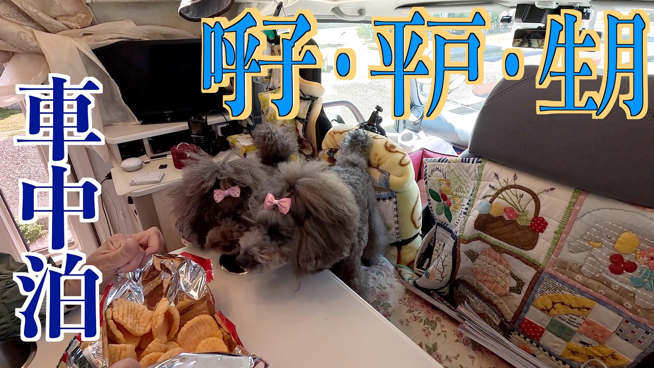 九州一人旅🚐赤い橋を渡り平戸・生月島へ！