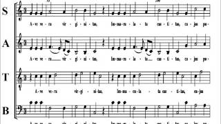 Download Lagu Josquin Des Prez - Ave Maria Virgo Serena - Soprano MP3