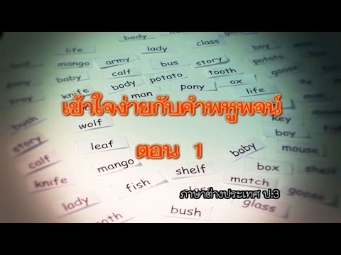 ภาษาต่างประเทศ  เข้าใจง่ายกับคำพหูพจน์ ตอน 1