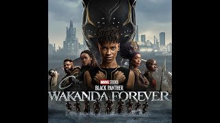 Another Satisfying Racial Moment: NO SPOILERS Black Panther Wakanda Forever #shorts