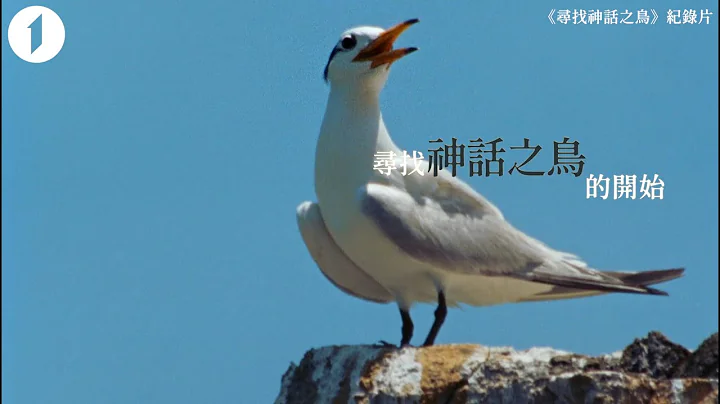 導演故事\從鳥開始 梁皆得 - 天天要聞