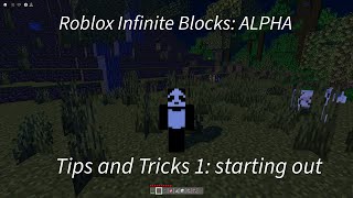 Celebrity Roblox Infinite Blocks ALPHA/BETA Tips and Tricks 1 Net Worth