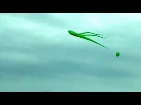 camera iphone 8 plus apk There's An Alien