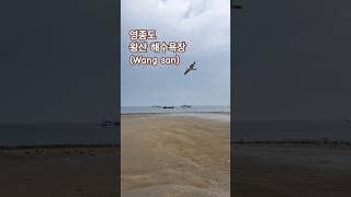 인천 영종도 왕산 해수욕장 A Peaceful Beach Near Seoul