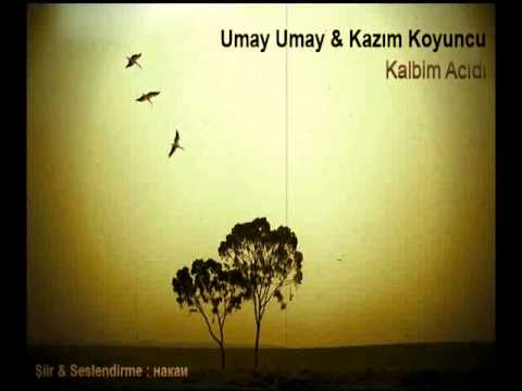 Umay Umay & Kazım Koyuncu - Kalbim Acıdı