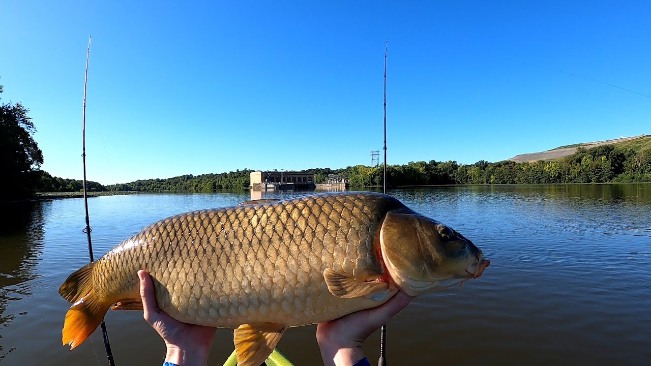 How to catch Catfish and Carp from a Kayak Fishing the Mohawk River