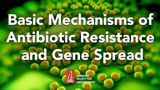 Basic Mechanisms of Antibiotic Resistance and Gene Spread by Marilyn Roberts, PhD
