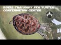 Royal thai navy sea turtle conservation center  le blog de manit