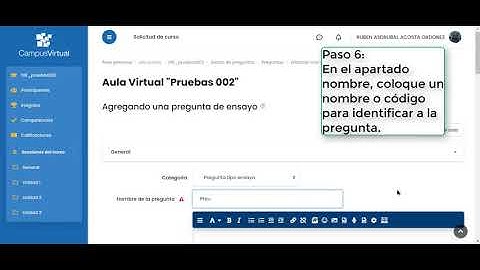 Pregunta tipo Ensayo