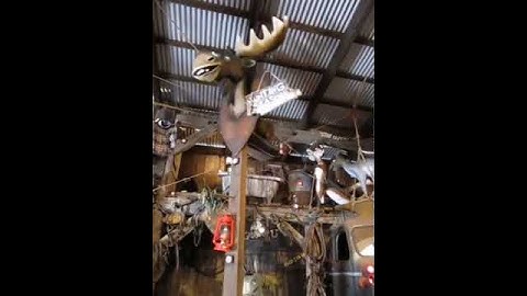 Moose Shooting Gallery Target