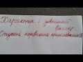 Чеська мова. Характер і зовнішній вигляд людини. Ступені порівняння прикметників.