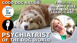 [DOG PSYCHIATRIST]: When To Use a Vet Behaviorist w/ Dr. Amy Pike | Good Dog Nation Ep #6 (2019) by Good Dog in a Box 452 views 4 years ago 32 minutes