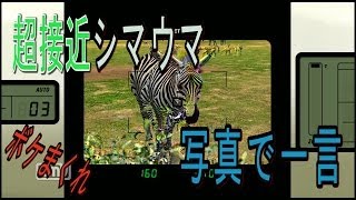 【縛りプレイ】アフリカに行ってみた【写真で一言】2話