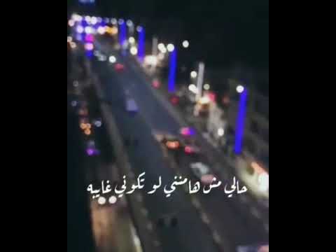 محمد سعيد زي ليل البرد ما بمشي