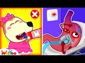 Lucy! Don&#39;t Eat Toothpaste! - Wolfoo Learns the Safety Rules for Kids | Wolfoo Family Official