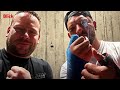 Bare-Knuckle-Boxing in der Schweiz: So brutal ist der Hype ohne Handschuhe