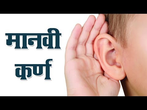 मानवी कर्ण - Manvi Karn (Human Ear)
