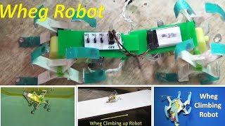 How to make dual motor magnetic wheg robot