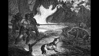 la storia e l' evoluzione del cane, la verità dietro l' evoluzione dei nostri amici a quattro zampe!