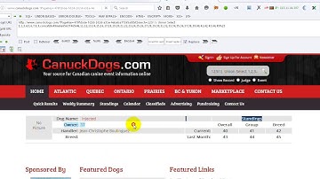 Amir Muzaffar Kashmiri Cheetah Sqli Challenge Solution by B14CK EyE