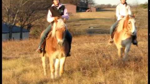 Valley View Ranch     - Jerry -       *For up-to-date info, price, etc., go to our website*